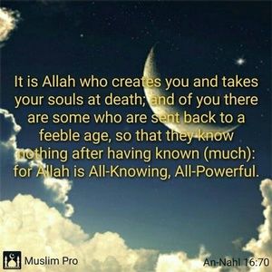 Meet your Posher, Ayo